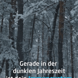Fit durchs Jahr – mit starkem Immunsystem