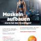 Muskeln aufbauen - starte bei den Grundlagen