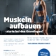 Muskeln aufbauen